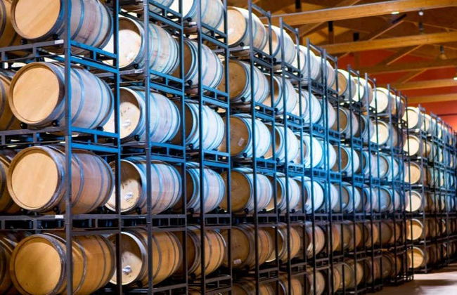 Visita a la Bodega Emina Rueda - Foto 3