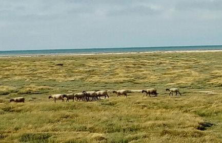 Chez Emile - Foto 58