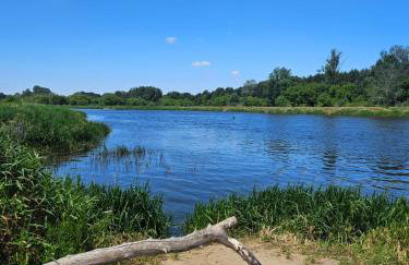 Dom z linią brzegową Narwi - Photo 19