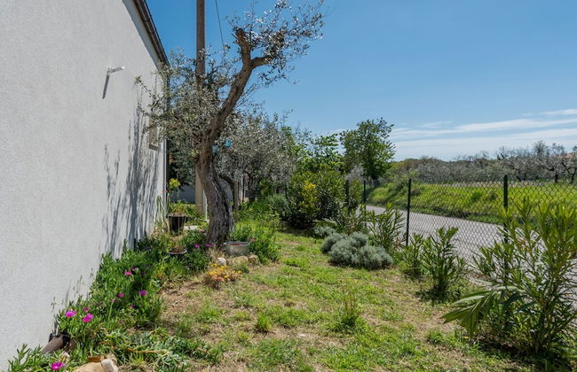 Residenza Verdeoliva - Foto 7