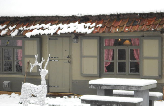 Tranquil Home With BBQ - Photo 34