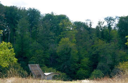 Ferienwohnung Bähr - Photo 13