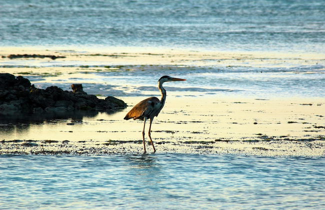 Victoria Lake View Guest House & Safaris - Photo 41