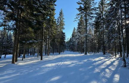 Mitterdorf Almberg x29 - Foto 25