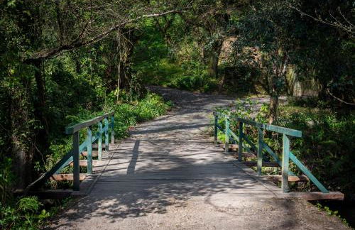 Quinta de Mourães Casa dos Rododendros - Foto 28