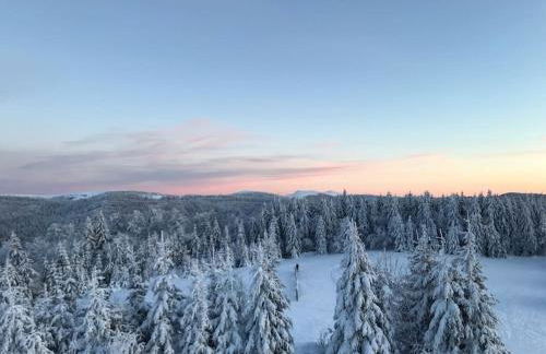 Charmant logis Gérardmer - Photo 44