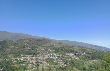 Guesthouse Kallisti - Foto 46