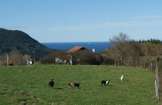 Casa Rural Arboliz - Photo 71