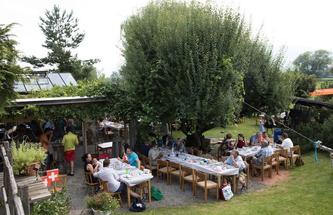 Steigmatt Bauernhof - Erlebnis - Foto 45