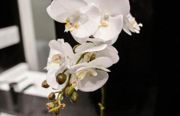 innCádizCASA SEÑORIAL DE 1790 - Foto 29