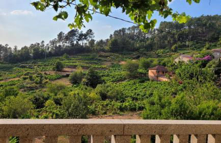 Casa do Cuco, Ribeira Sacra - Foto 15