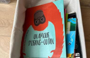 La cabane tropicale - Foto 12