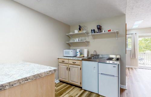 Cozy Studio Balcony Gym Games Near Douglas Lake - Foto 14