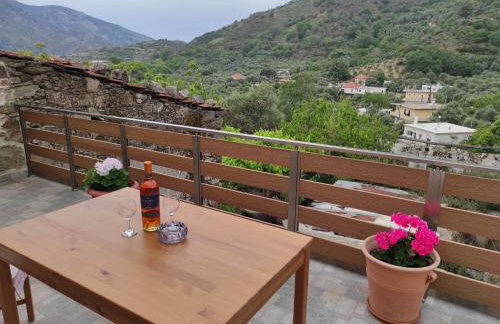 Alexander's cottage - Foto 24