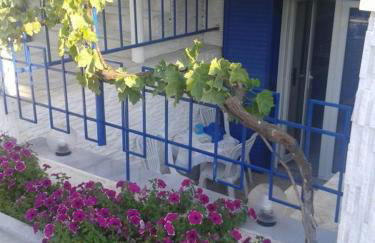 Rudi Studios - Foto 14