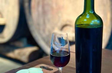 Quarto dos Vinhos - Foto 16