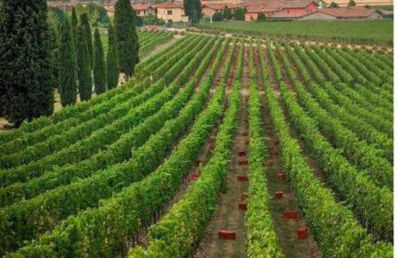 CASETTA MIRAVIGNA cozy flat with garden in Franciacorta & Iseo Lake - Foto 39