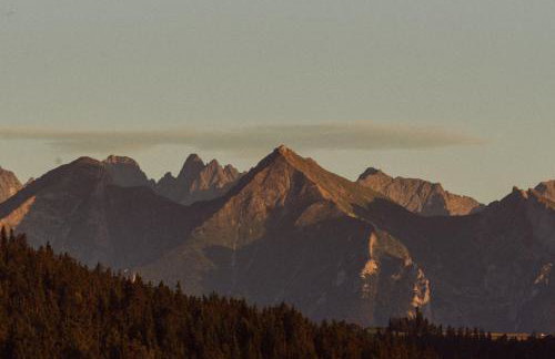 Houten Villa "ReisnaarPolen" Royaal ontbijt tevens Gluten Lactose vrij, Vega en diner mogelijk, sauna en Hottub - Foto 38