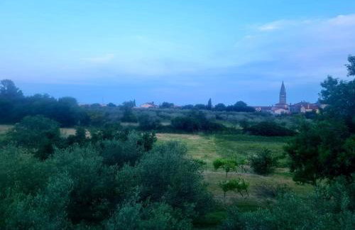 Apartman Boro - Foto 18