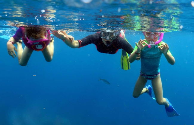 Catalina Island & Chavon River Day Trip - Foto 12