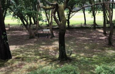 T2 près de la plage et du Club House du Golf - Foto 6