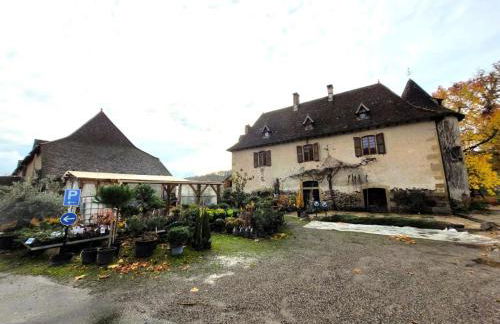 Gîte de France Gîte de la pépinière de chapi 2 épis - Gîte de France 4 personnes MAE-4631 - Foto 38