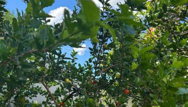 Casa Região Oceânica Niterói - Foto 2