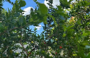 Casa Região Oceânica Niterói - Photo 2