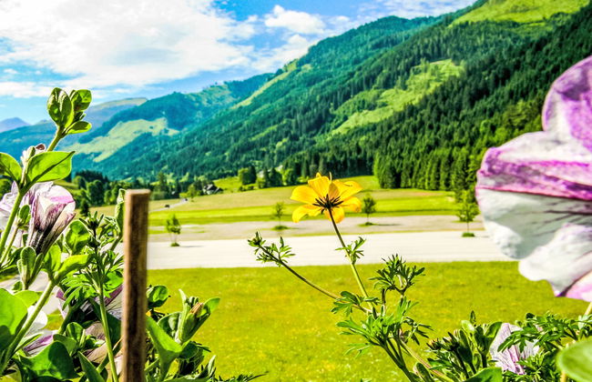 Gipfelkreuz - Foto 11