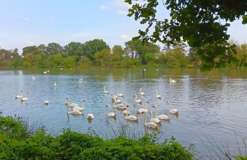 Spreequartier - Foto 29