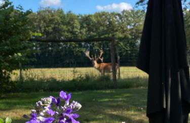 Gîte Le Bois Clairet - Foto 13