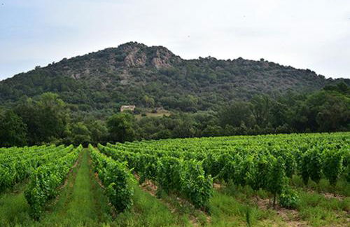 F5 11 pers Escapade maison piscine sauna lac riviére loisirs VAR - Foto 24