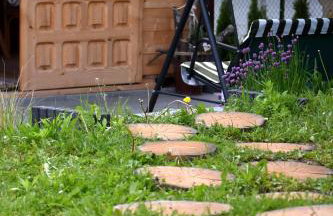 Agroturystyka w Dolinie Raty - Foto 5