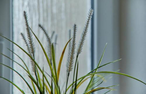 Haus Blanka - Foto 17