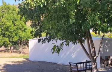 Alojamiento rural Huerta Mandre - Foto 18