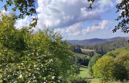 FeWo Harzer Weitblick, bis 2 Hunde Willkommen, W-Lan, 2x Smart TV, DTV 4 Sterne, 4 Pfoten - Foto 39