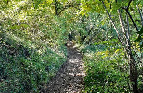 Le Manoir de Carlucet Gite - Foto 31