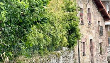 La Casona de Tito - Foto 4