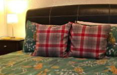 Alastrean Flat - Photo 40