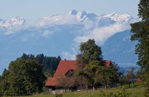Tiny House Alpenpanorama Chalet Igluhut - Foto 32