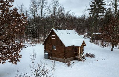 Cozy Log Cabin with an Indoor Fireplace Located on 70 Forested Acres in Leicester, Vermont - Foto 39
