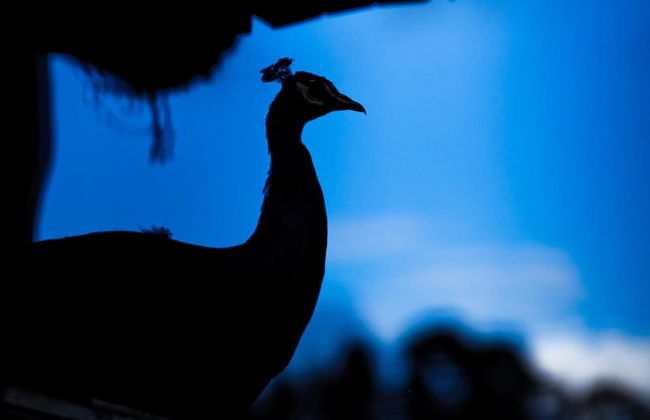 Agriturismo Archelao - Photo 19