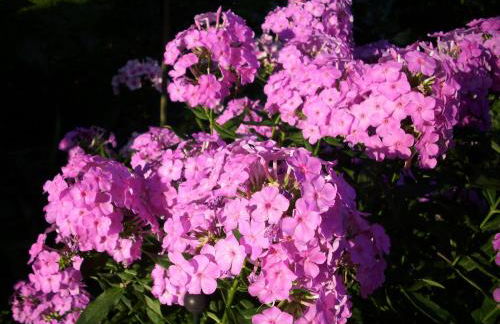 Ferienhaus Frado - Foto 19