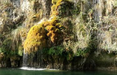 Nido del Tadini - Foto 14