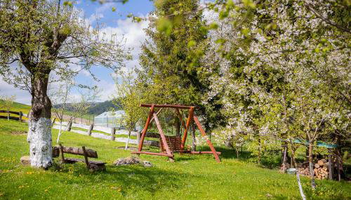 Domek Bogdanka - Foto 4, Garden