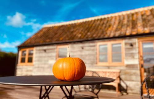 Cocklebury Farm - Foto 22