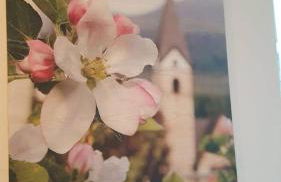 Agritur Piccolo Fiore B&B - Foto 42