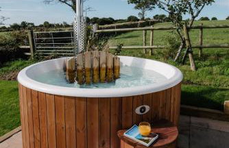 Shepherds Hut at Chenhall Farm - Photo 11