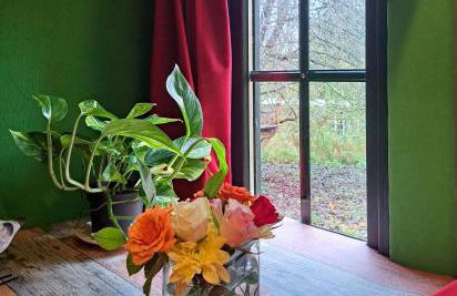 Tiny Haus - Sternenblick - Sauna - Foto 14