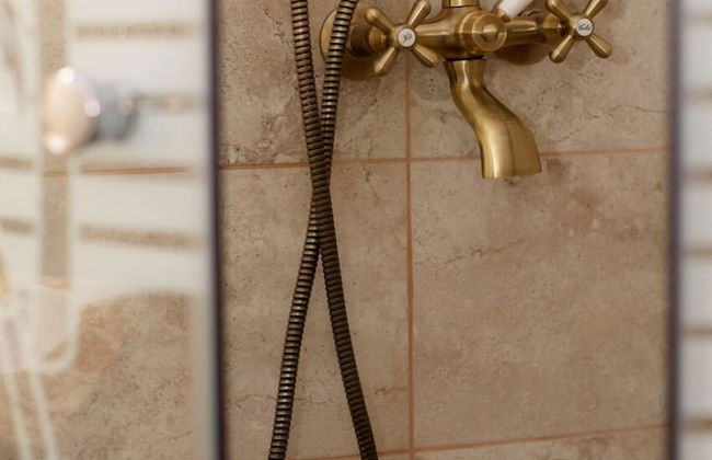 Pensiunea Elemar - Foto 19